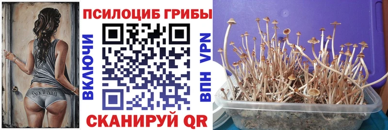 OMG ссылка  Судак  Галлюциногенные грибы мухоморы 